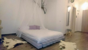 Cluj City Iris Appartment